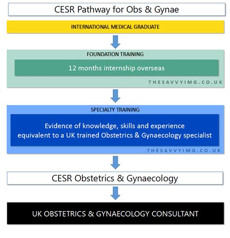 ukgyn|Obstetrics & Gynecology .